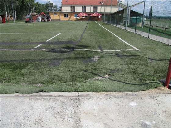 14 Slavonín 2010.jpg