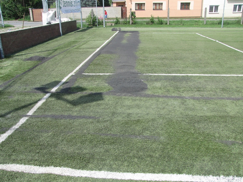 19 Slavonín 2010.jpg