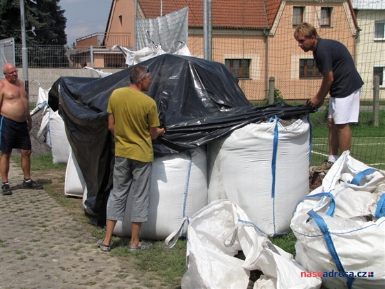 29 Slavonín 2010.jpg