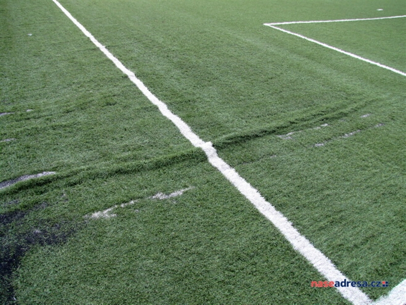 45 Slavonín 2010.jpg