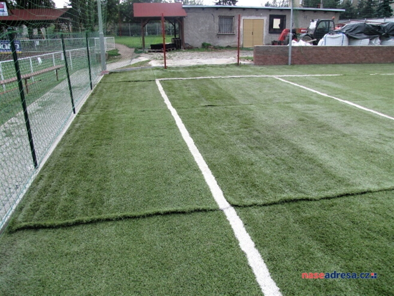 48 Slavonín 2010.jpg