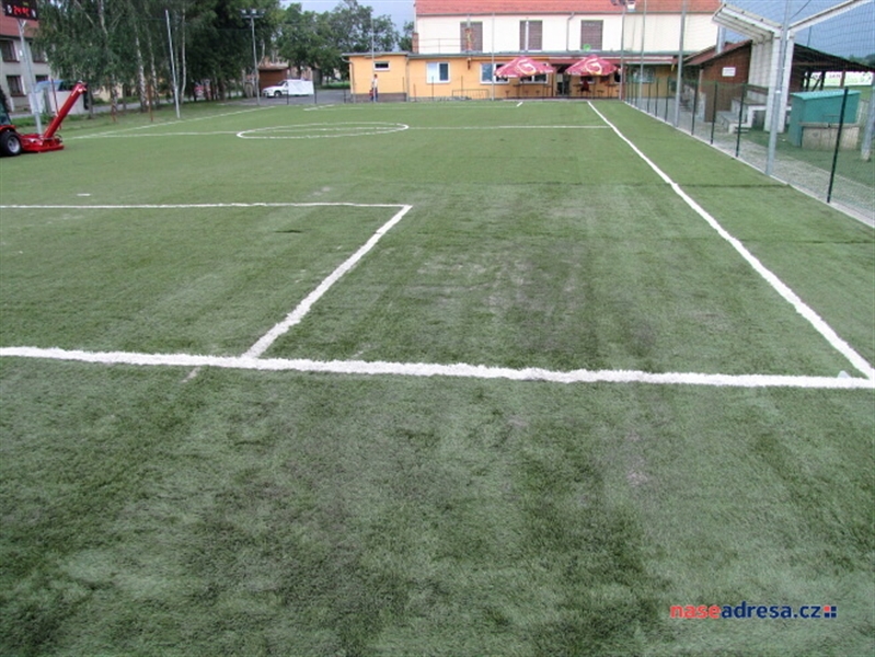 49 Slavonín 2010.jpg
